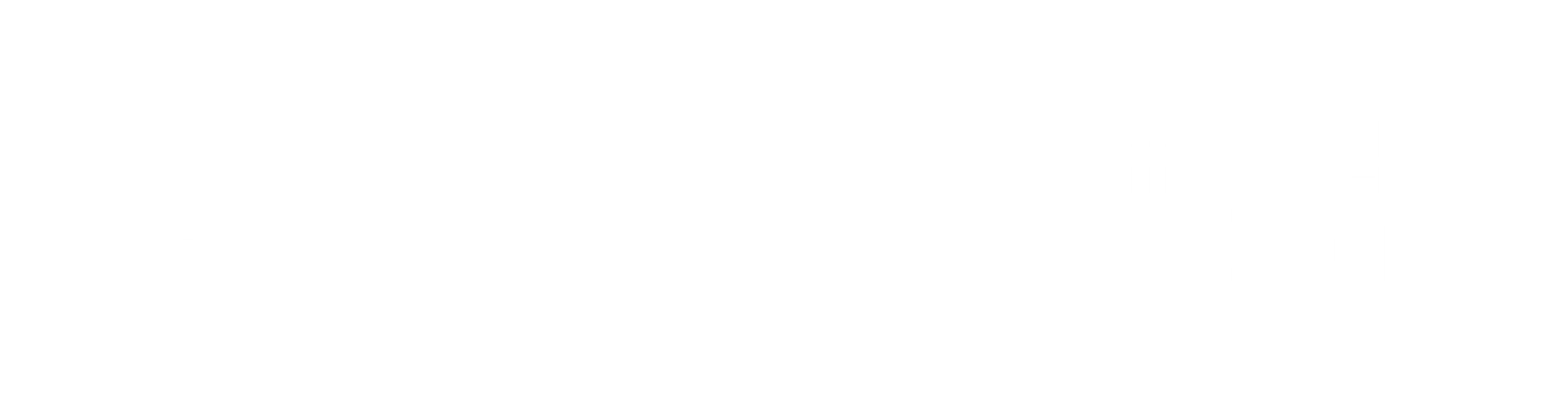 Life Fitness