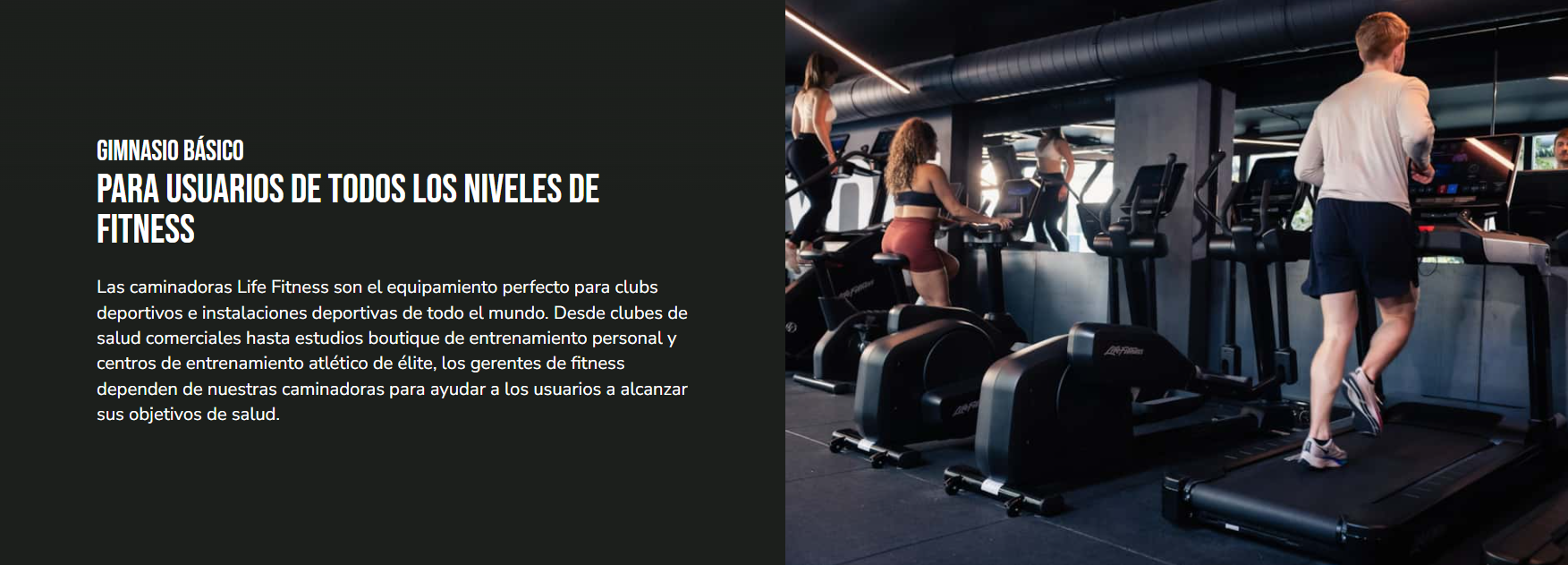 Life Fitness