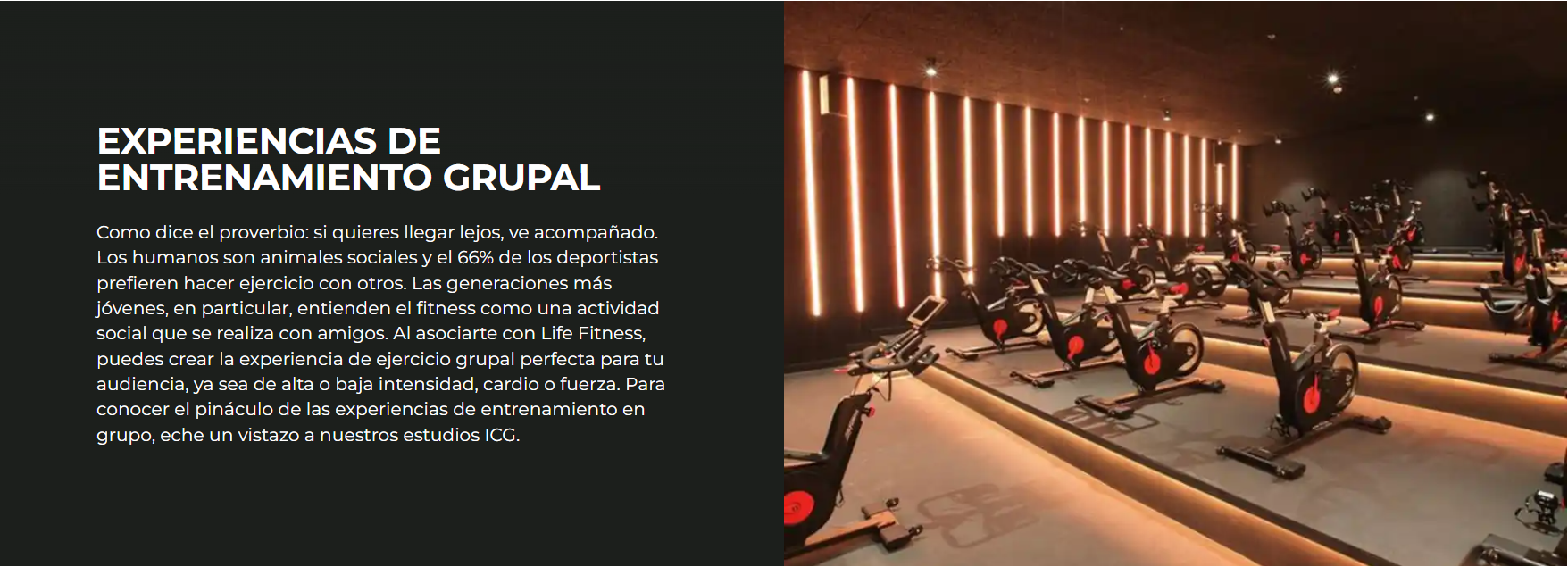 Life Fitness