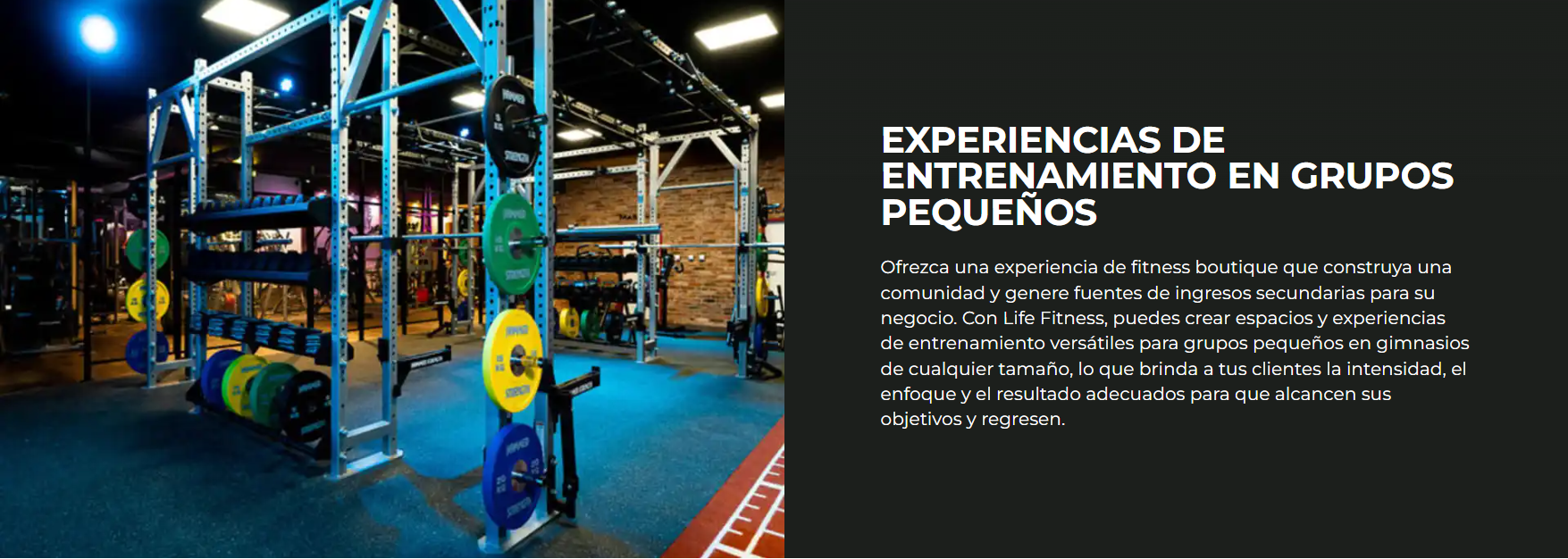 Life Fitness