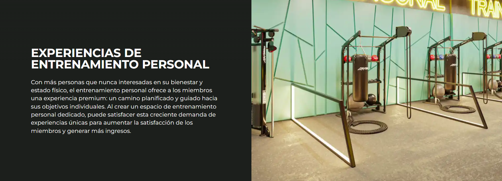 Life Fitness