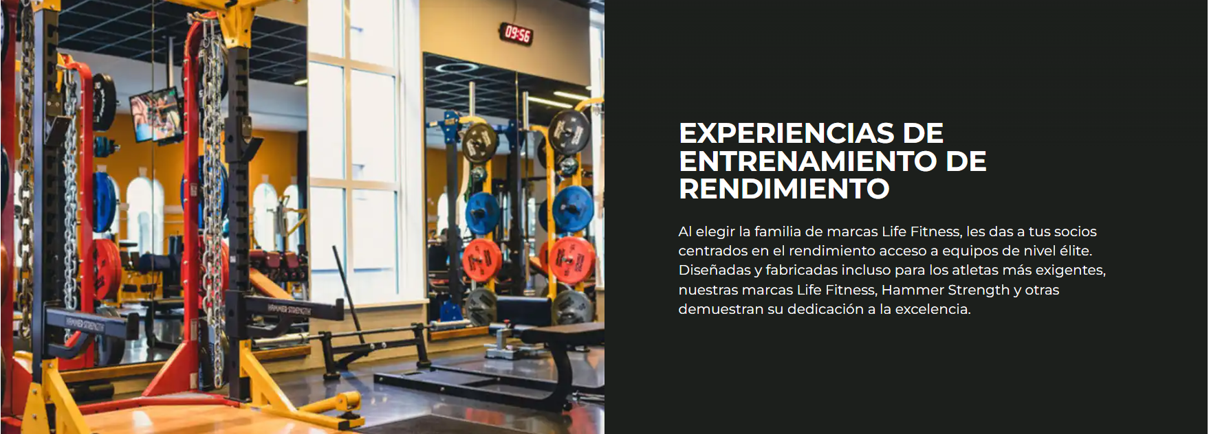 Life Fitness