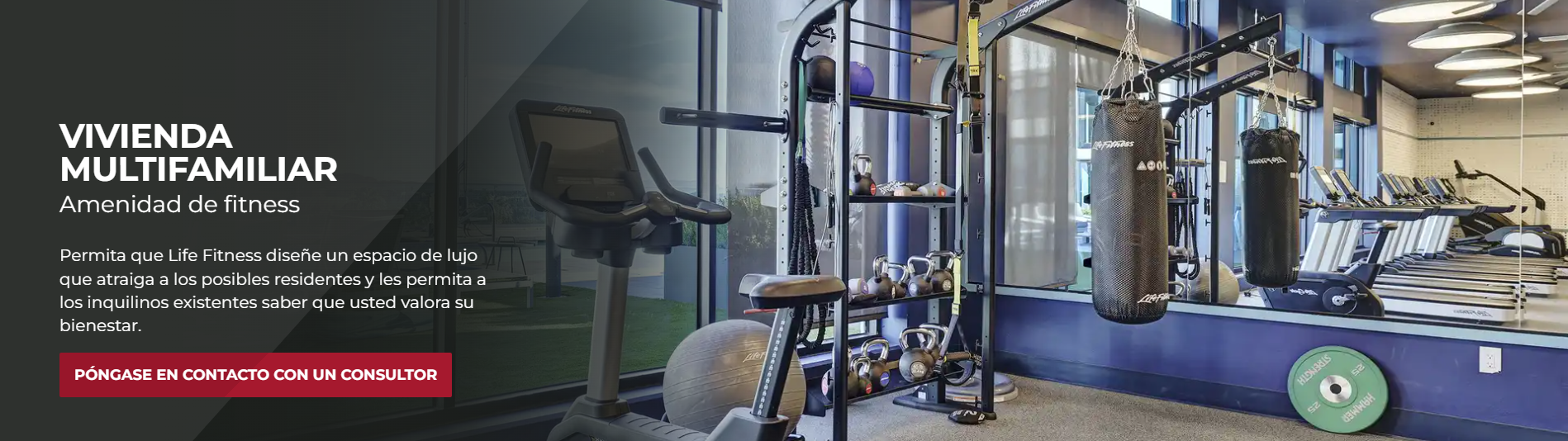 Life Fitness