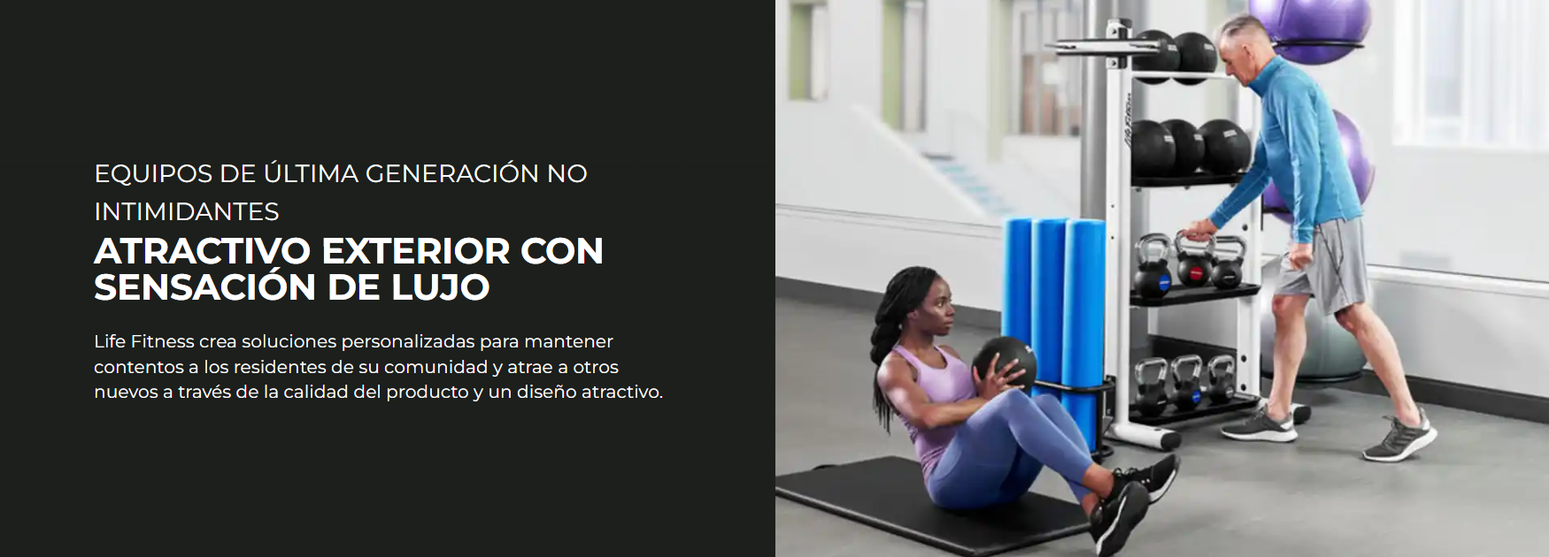Life Fitness