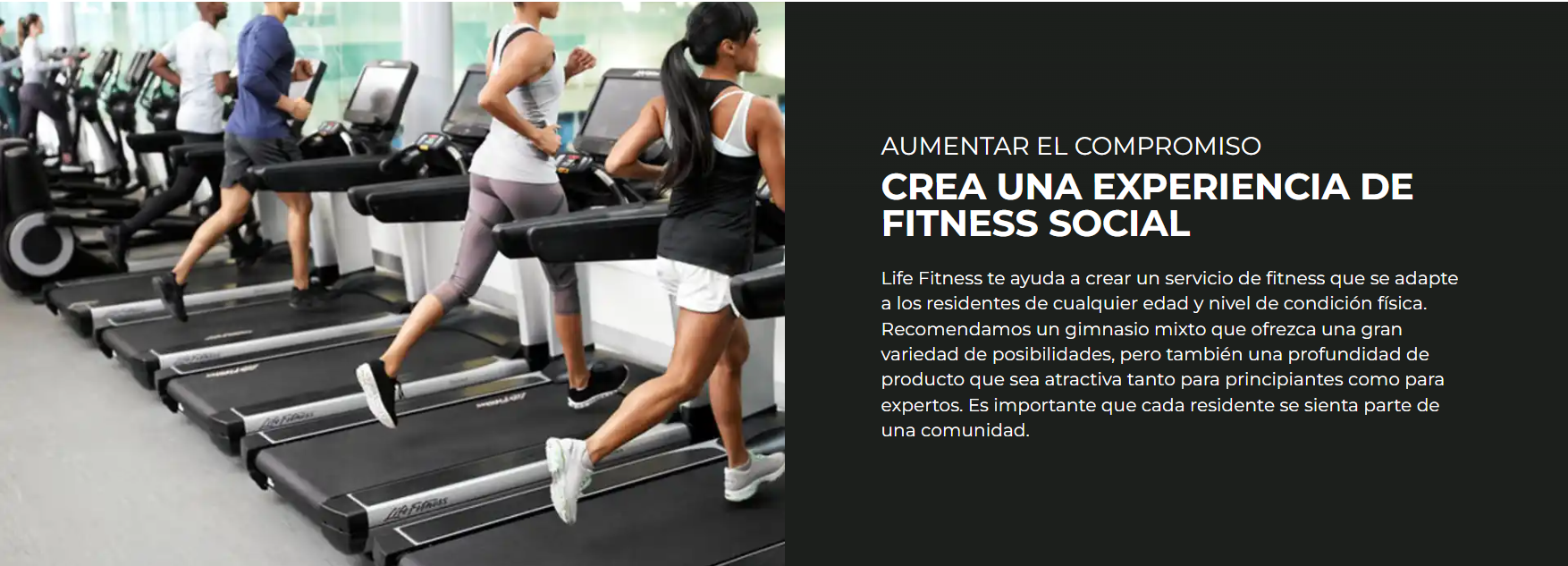 Life Fitness