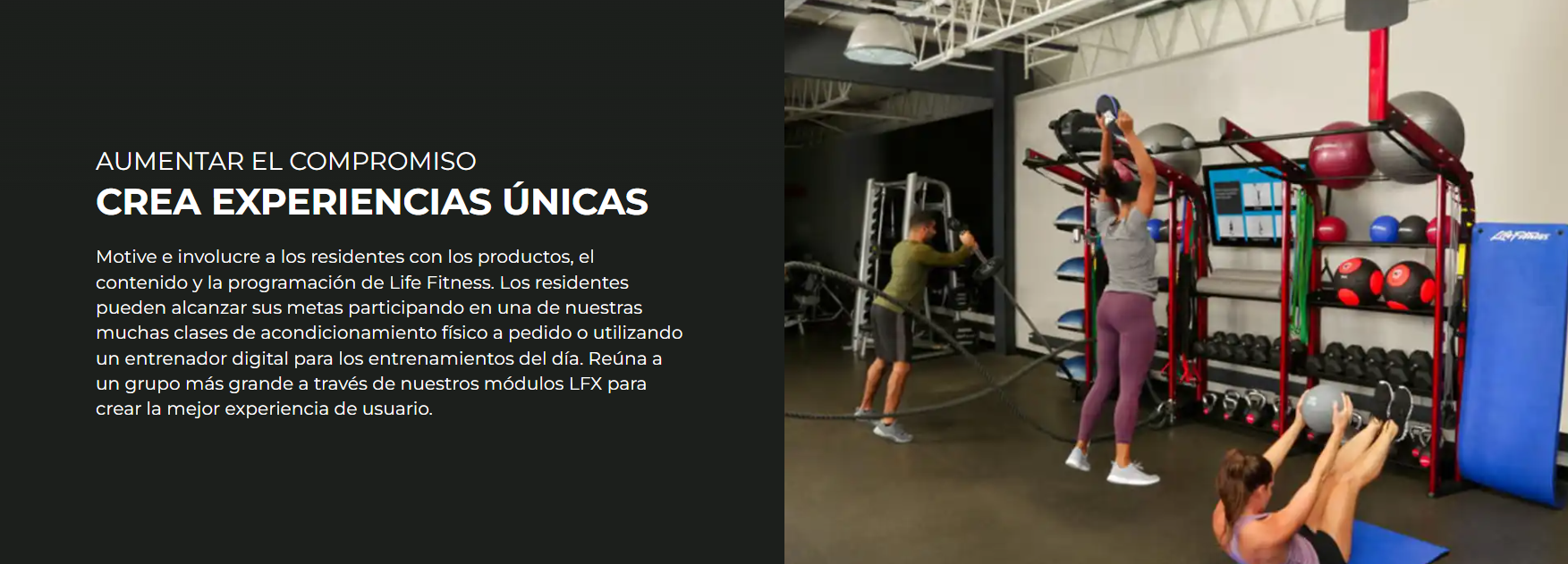 Life Fitness