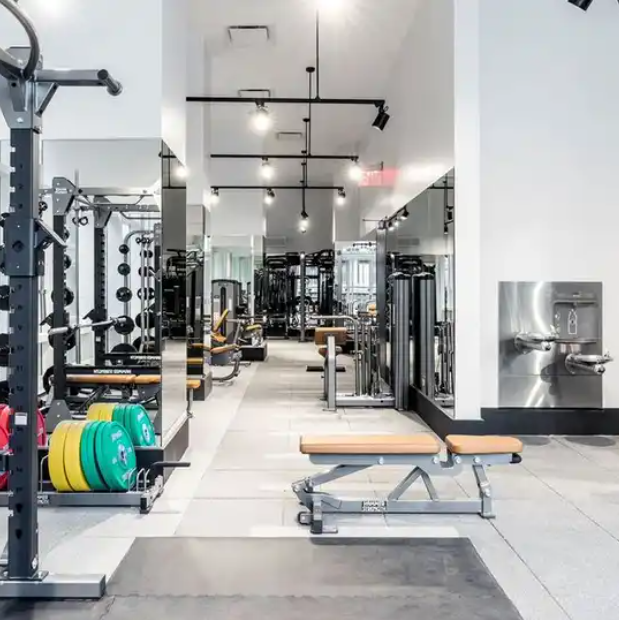 Life Fitness