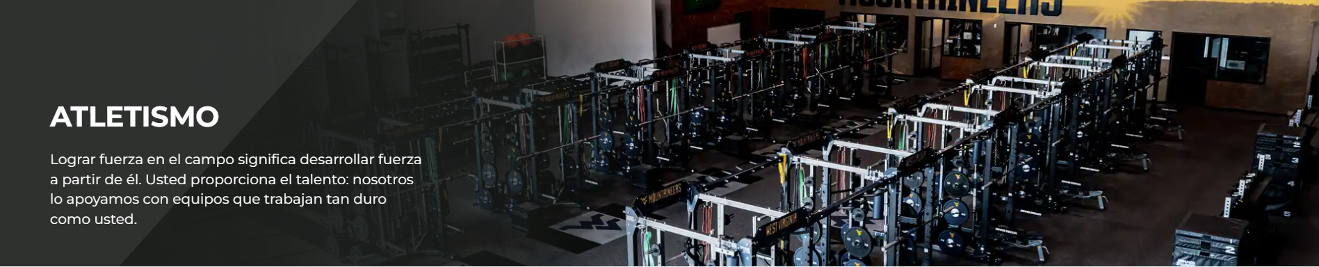 Life Fitness