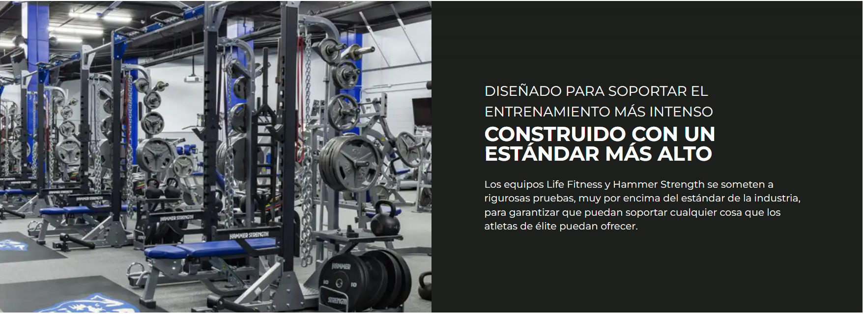 Life Fitness