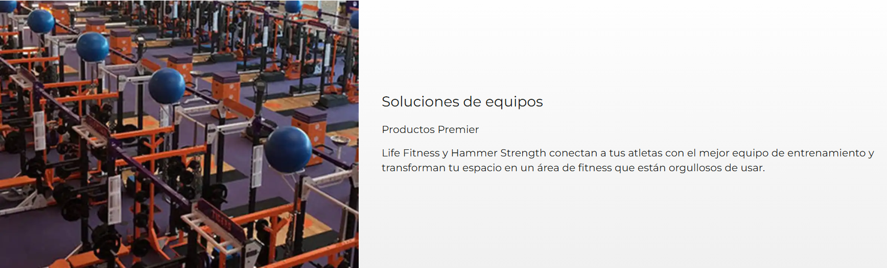 Life Fitness