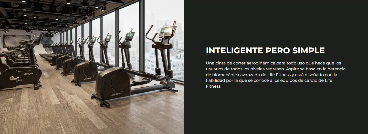 Life Fitness