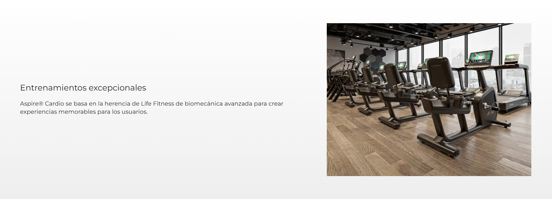 Life Fitness