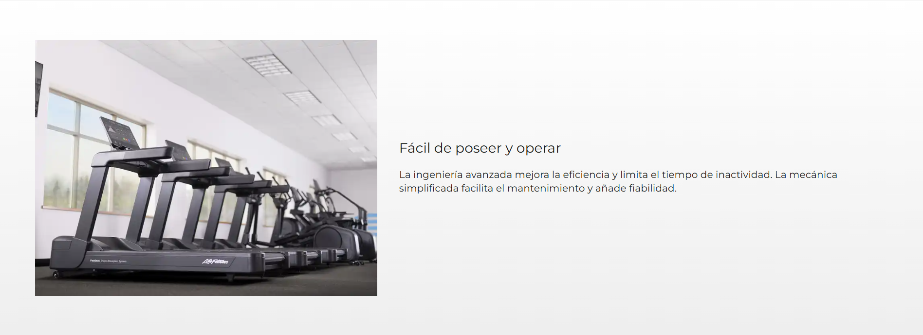 Life Fitness