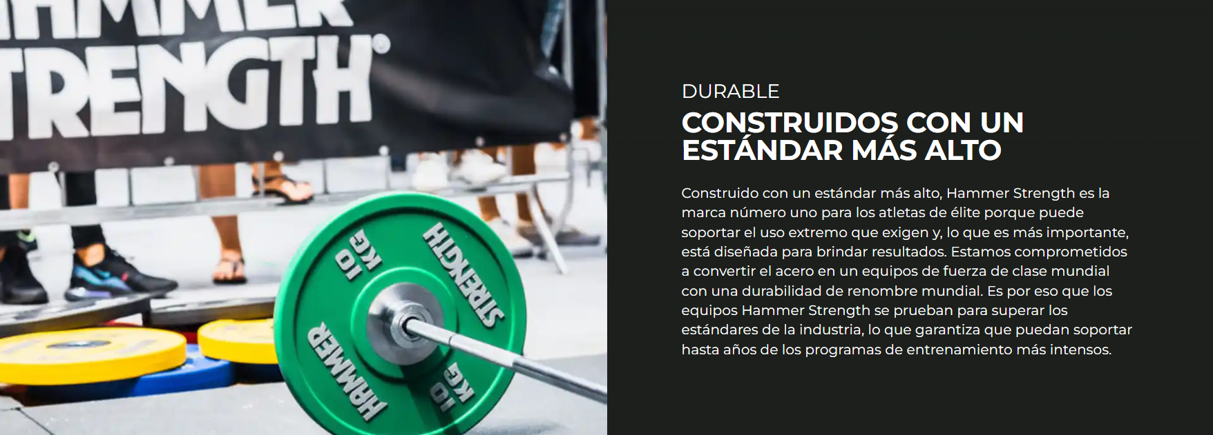 Life Fitness
