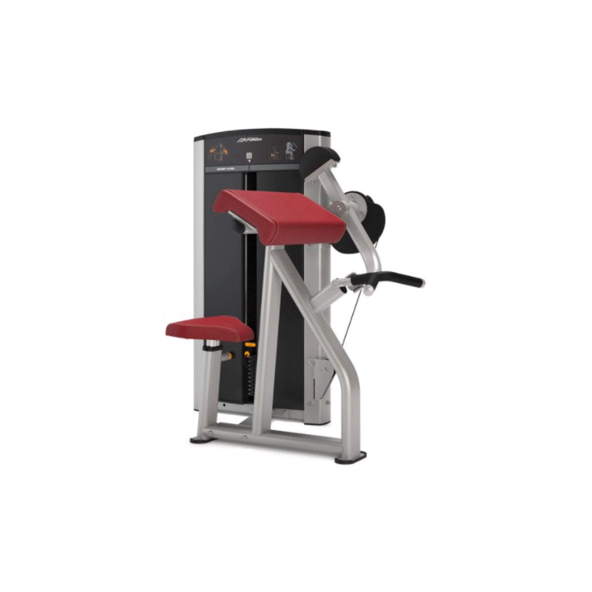 Biceps Curl Axiom (OP-BC)