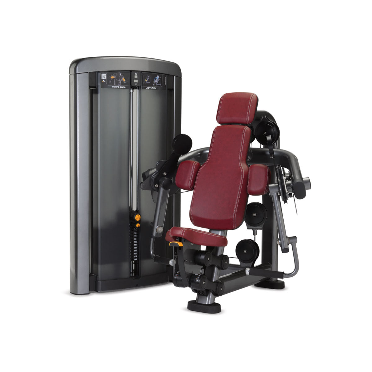 Biceps Curl Insignia SSBC