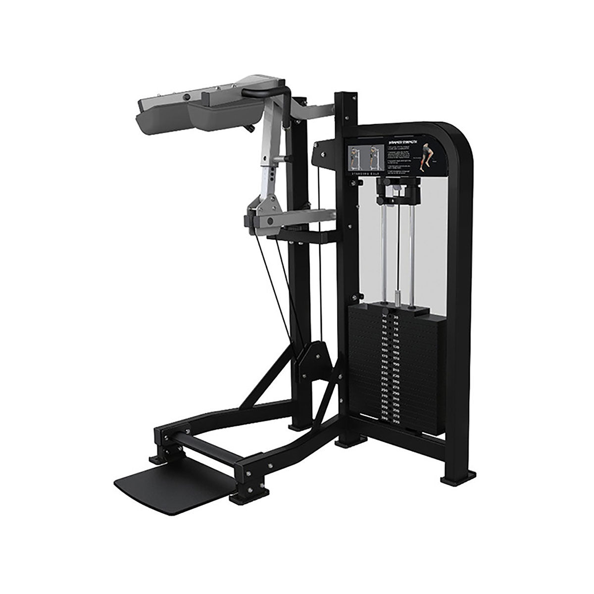 Standing Calf HSSC