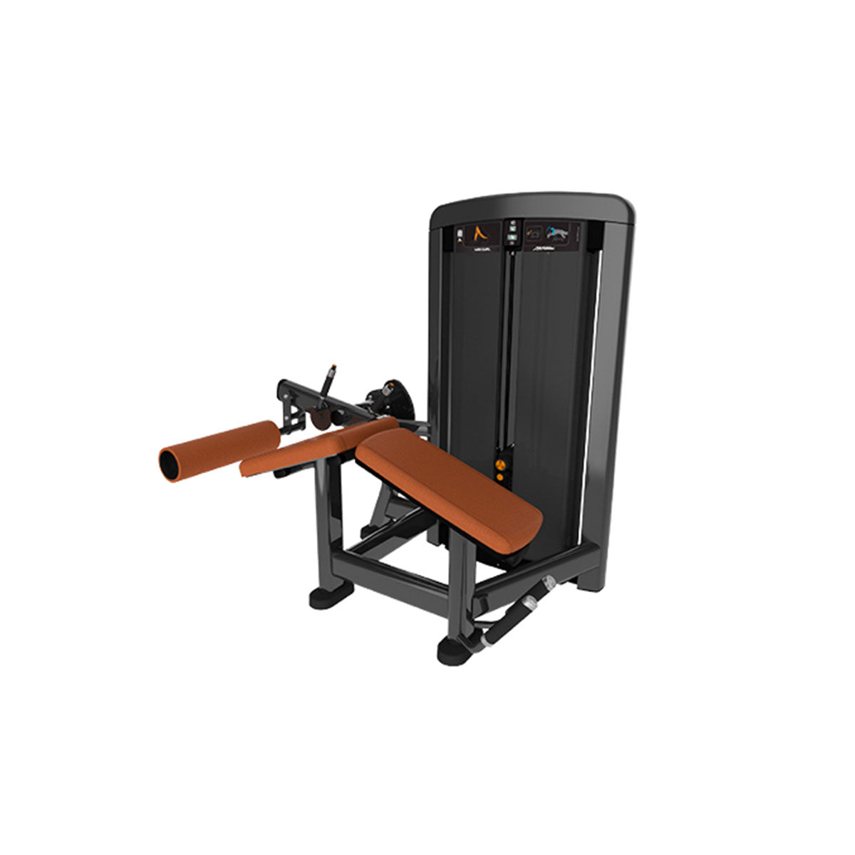 Leg Curl Insignia SSLC